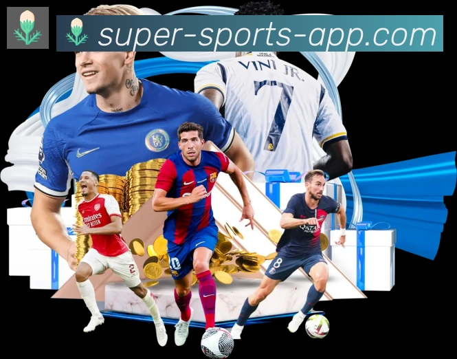 App Interface Preview